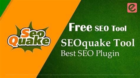 How to Customize SEOquake for Your SEO Needs.